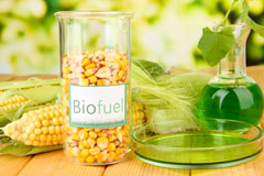 Buckland Newton biofuel availability